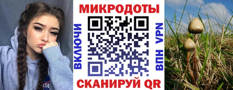 hydra зеркало  Жуков  Галлюциногенные грибы Psilocybine cubensis 